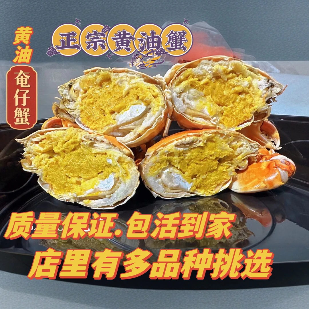 【黄油奄仔蟹4-5两/只】蟹蟹琳黄油蟹没有中间商赚差价质量保证