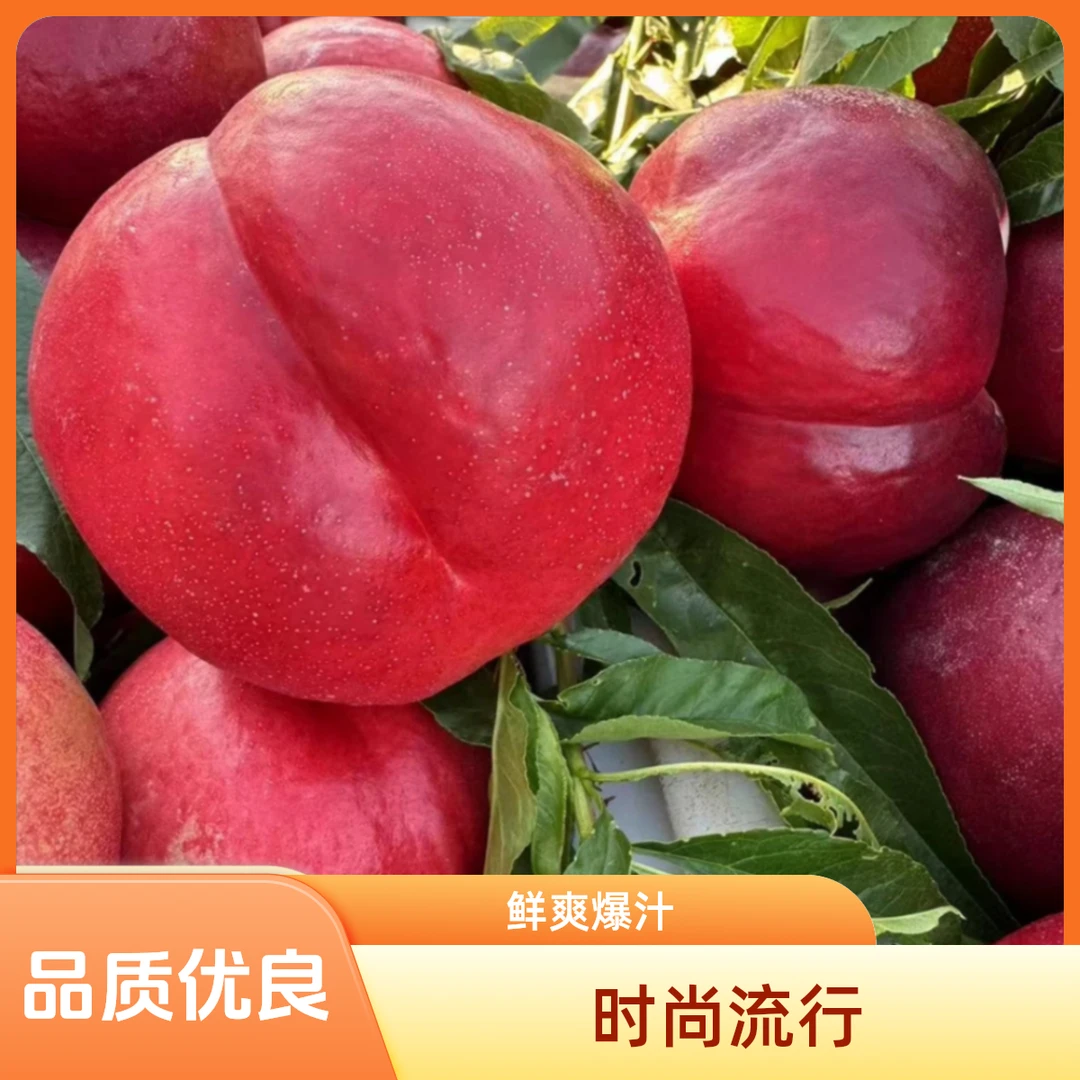 辽宁大连现摘麻脸红油桃香甜多汁光滑无毛软硬皆可食用5斤包邮