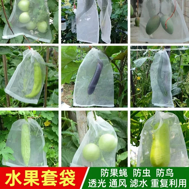 水果套袋防虫防鸟纱网袋草莓套袋透气葡萄袋无花果番石榴防虫网袋