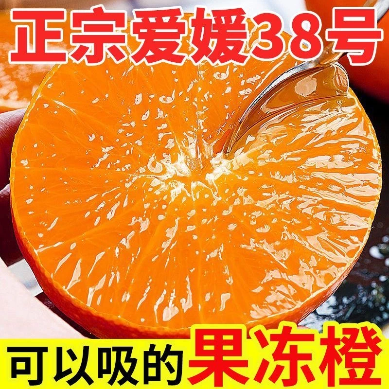 四川眉山爱媛38号果冻橙手剥橙孕妇整箱爆甜多汁皮薄肉厚汁水多
