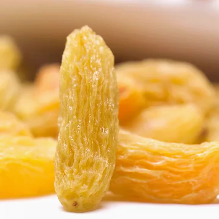 新疆特产营养树上黄葡萄干无核即食黄提子干大颗粒新疆切糕