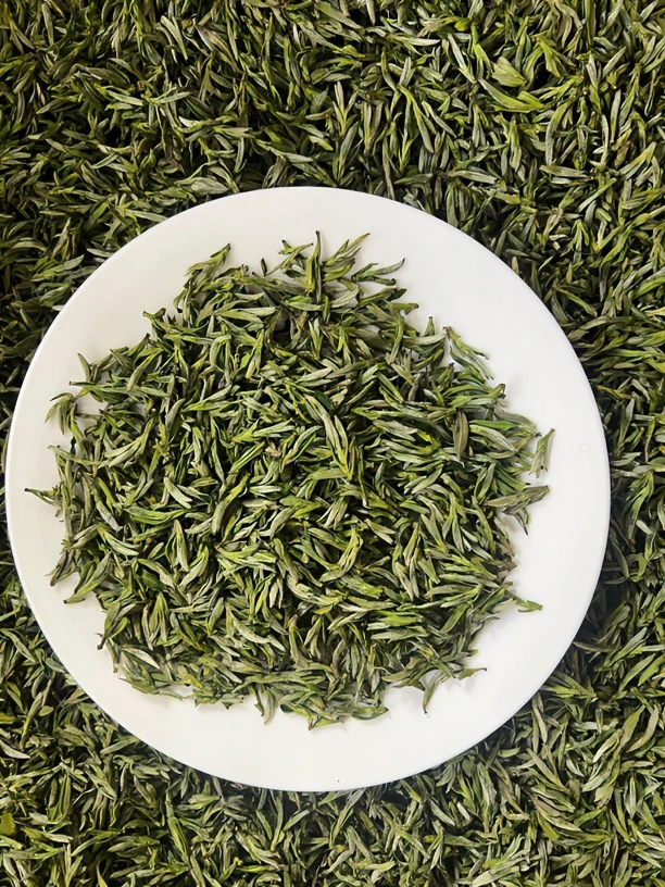 2024年新茶明前头采毛峰清香带兰香一芽一叶一芽两叶鲜爽回甘手工