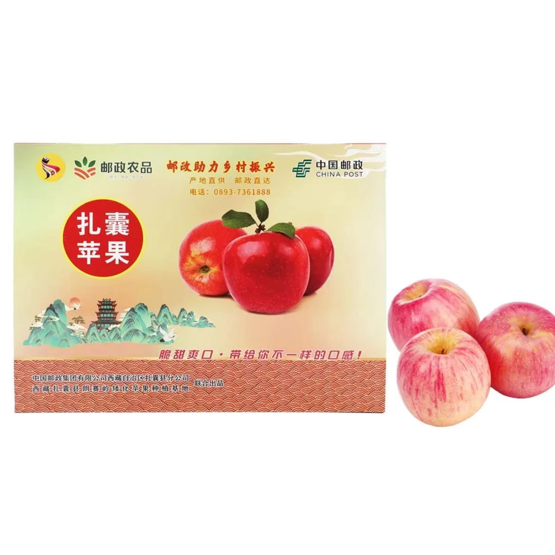 西藏扎囊矮化红苹果