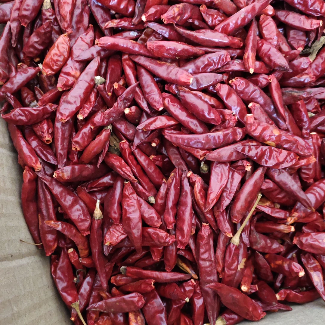 【云才支书助农】干辣椒