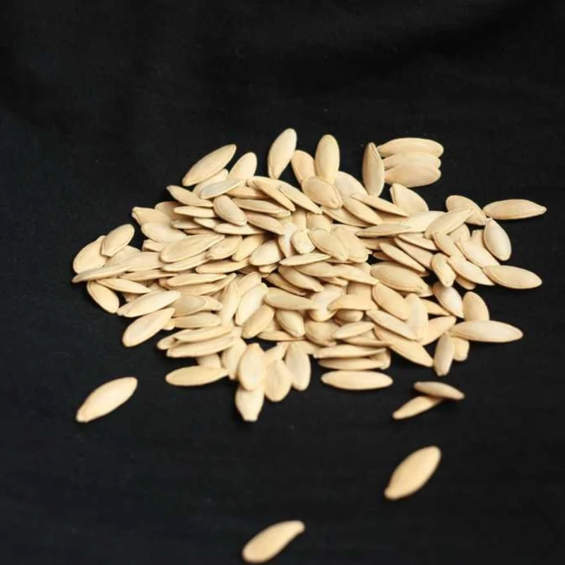 【云才支书助农】南瓜籽