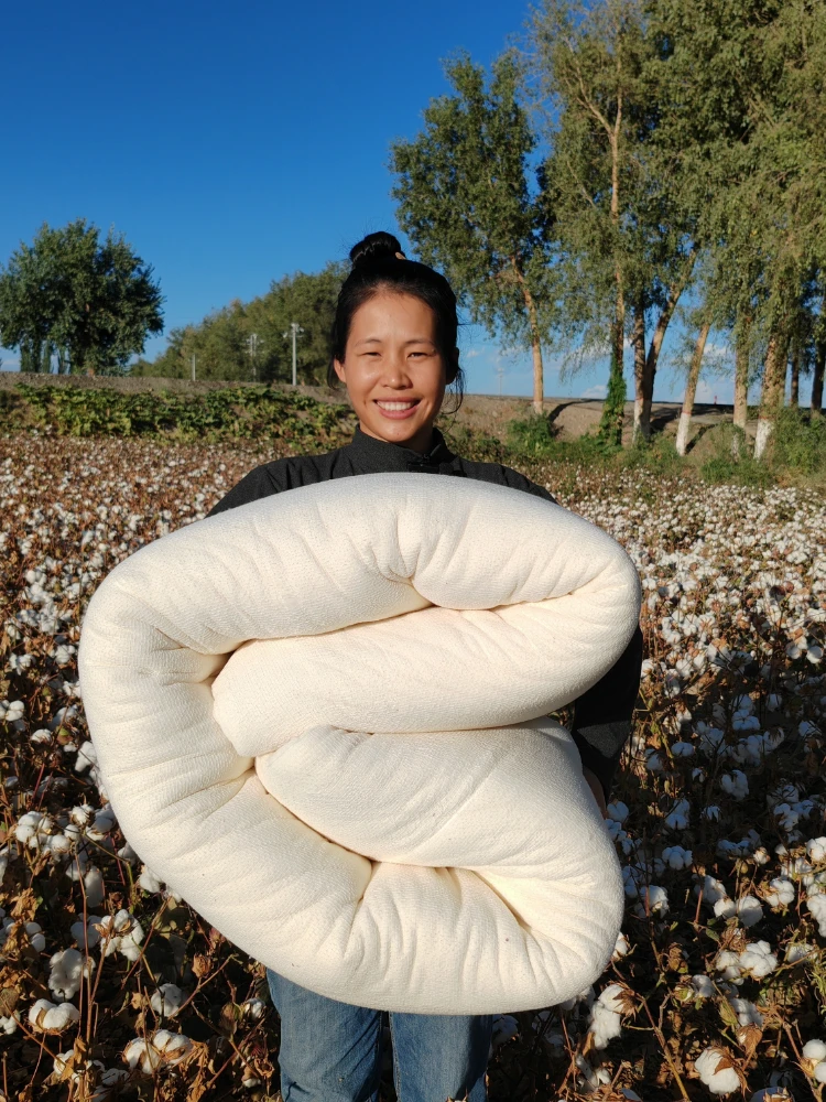 新疆棉花被芯被子褥子纯棉絮学生被加厚冬被四季被单人被厂家直发