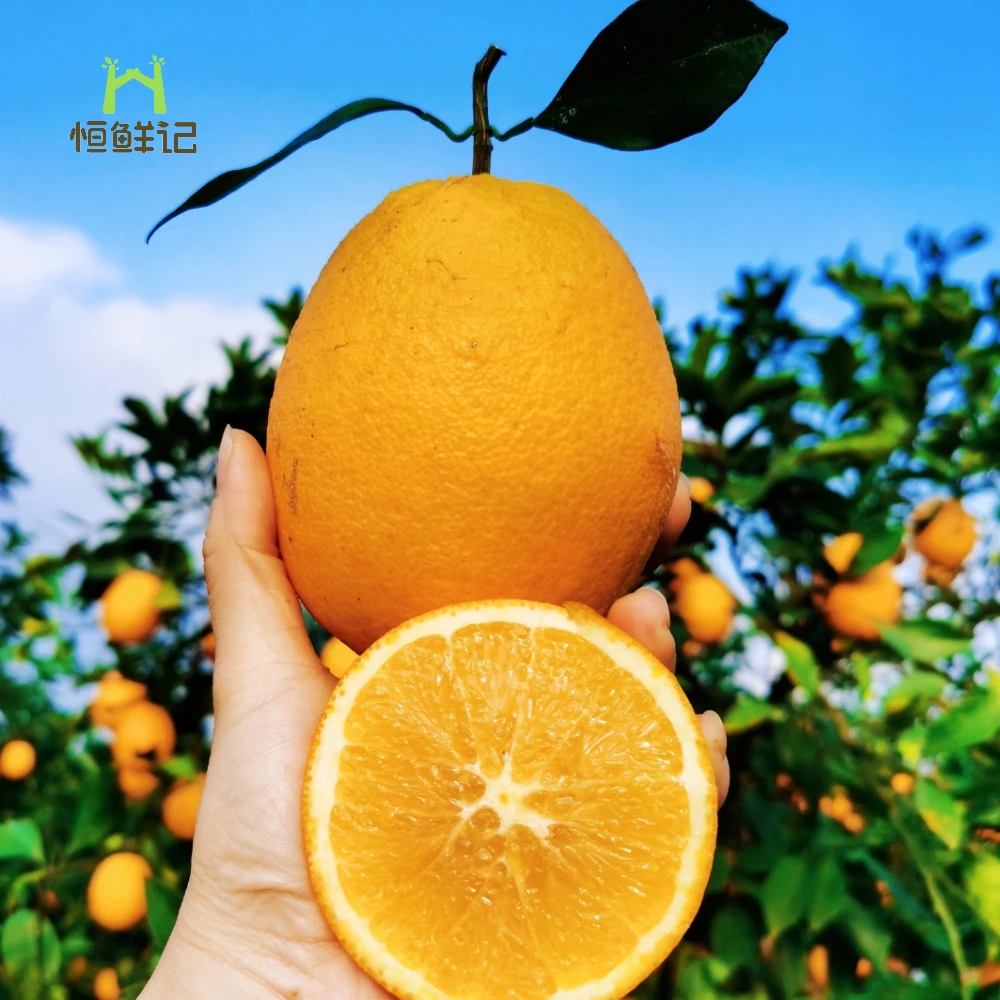 恒鲜记精品橙子正宗江永新鲜水果脐橙当季整箱现摘湖南江永批发10
