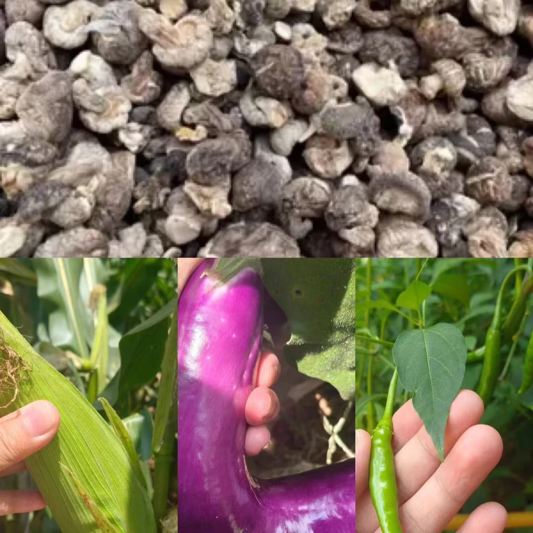 【香菇】净重-250g【阿秀现收山货】