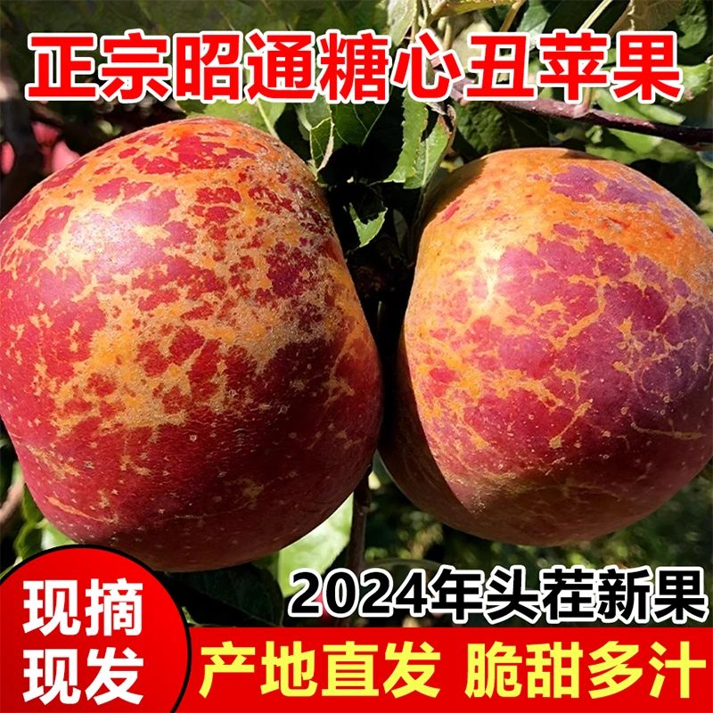 正宗云南昭通高原冰糖心丑苹果红富士脆甜多汁2024当季新鲜果整箱