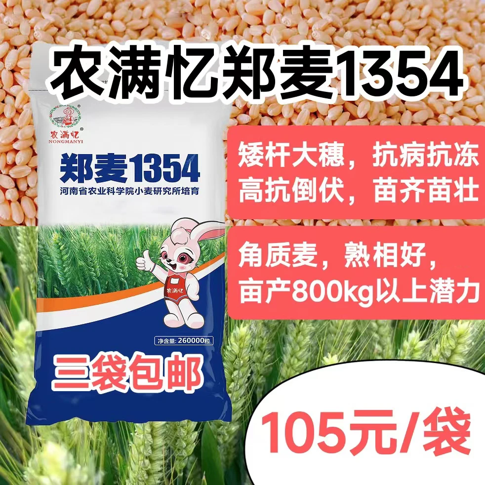 【农满忆郑麦1354】，具有1600斤以上潜力，抗冻抗病，抗倒伏