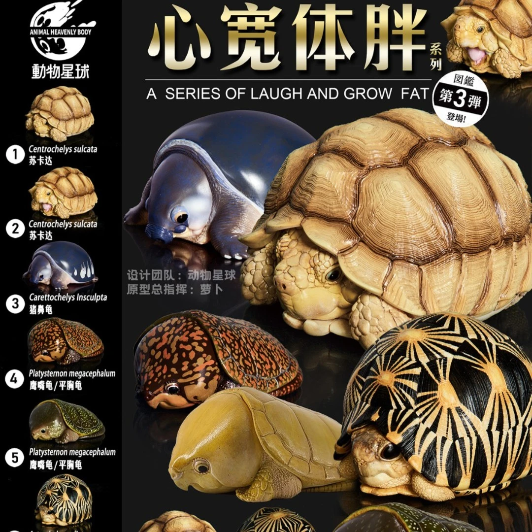 动物星球心宽体胖第三弹龟 爬宠 手办 模型