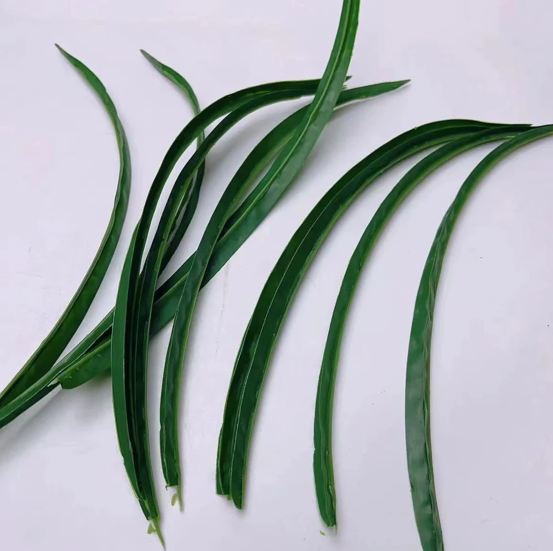 单独郁金香花杆叶子 手工制作diy材料 大小叶片