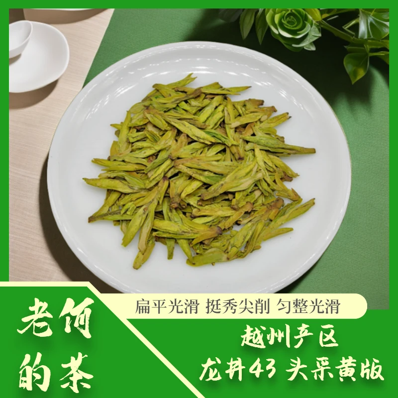2024 越州产区 龙井43 头采黄版