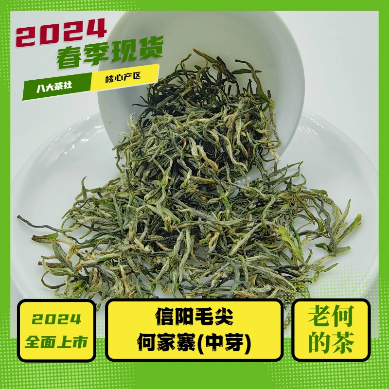 2024 信阳毛尖 何家寨（中芽）