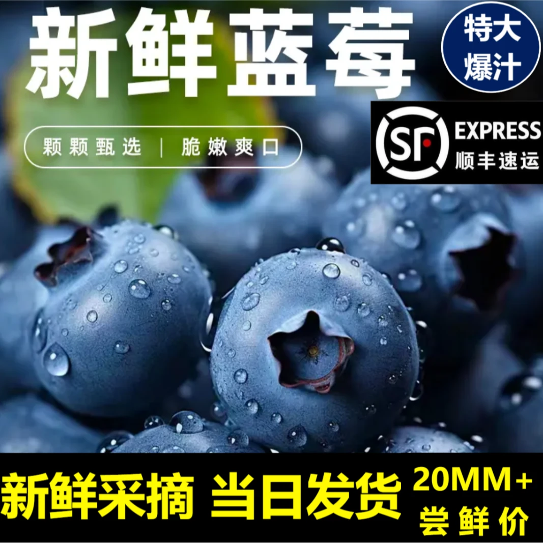 蓝莓20mm果王 饱满爽口爆汁孕婴辅食100g/盒新鲜采摘