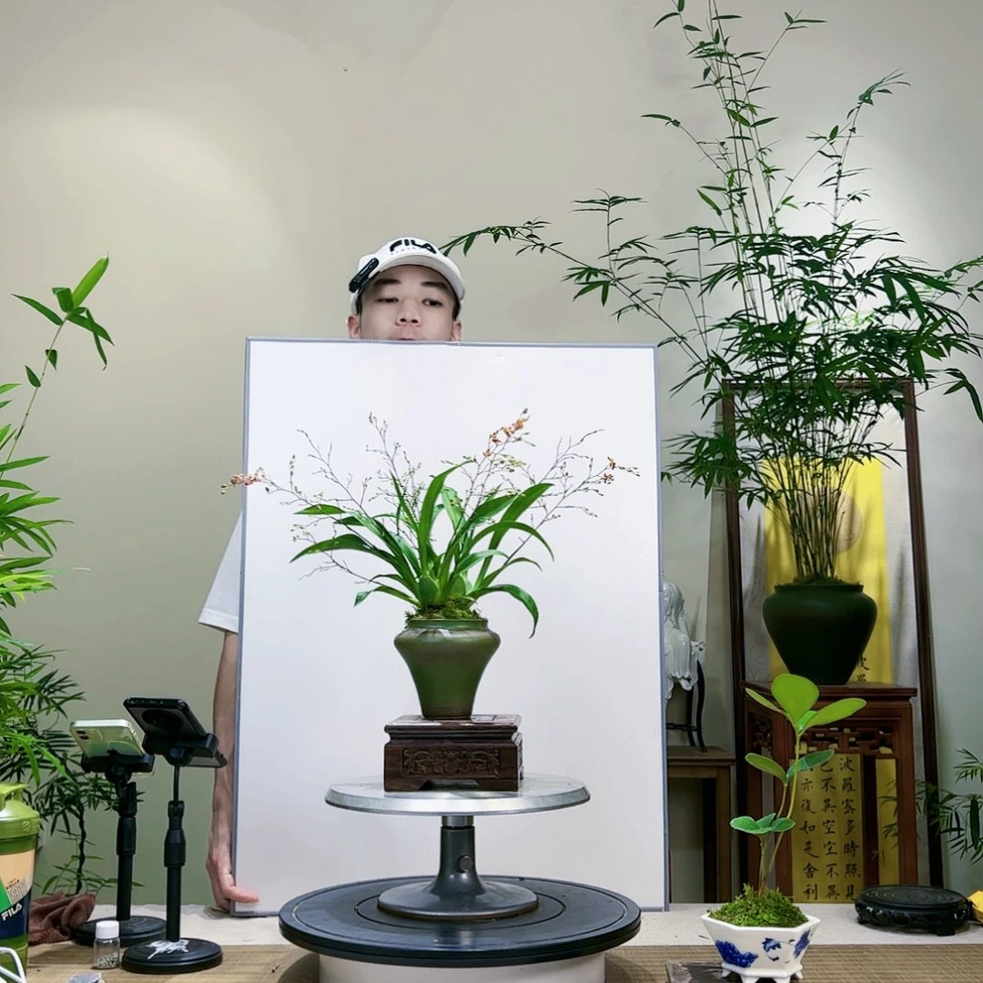 一****姐老桩精品竹盆景