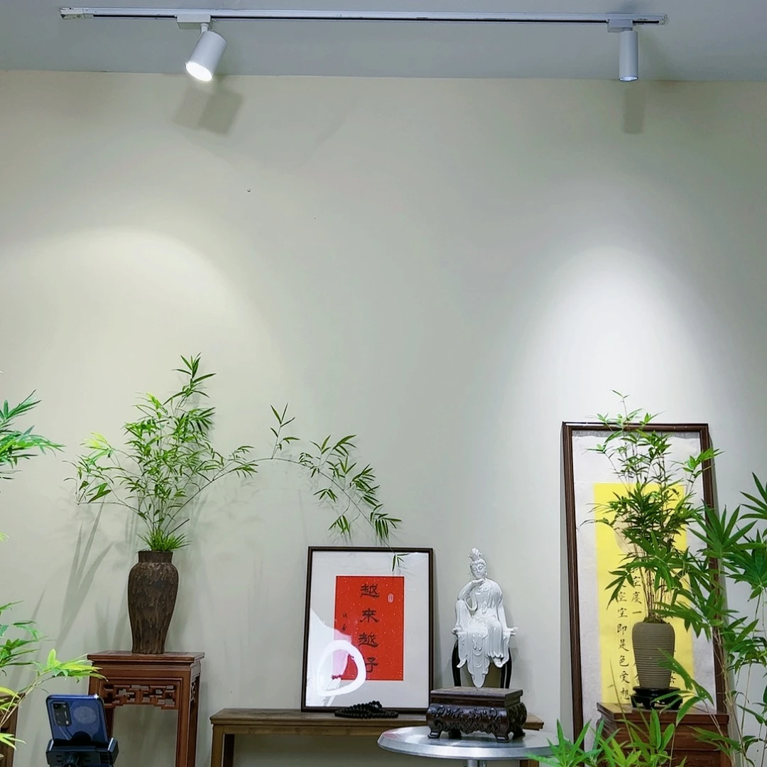 艳老桩精品竹盆景