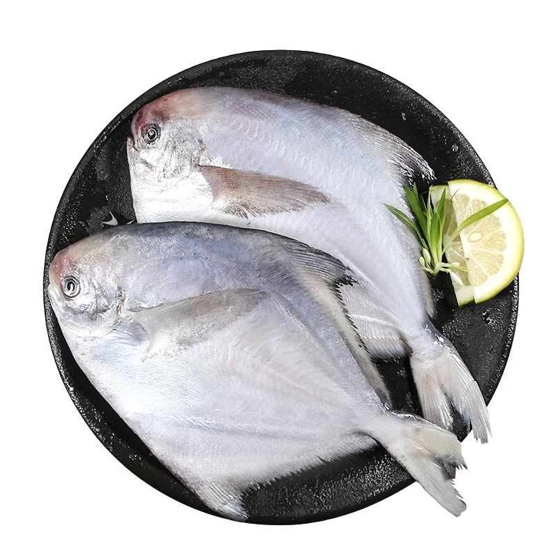 冰鲜平鱼 每条200-300克左右重