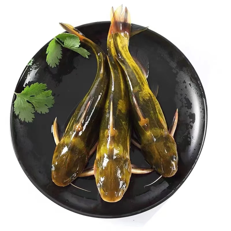 鲜活嘎鱼 每份1.5斤左右（约4条）