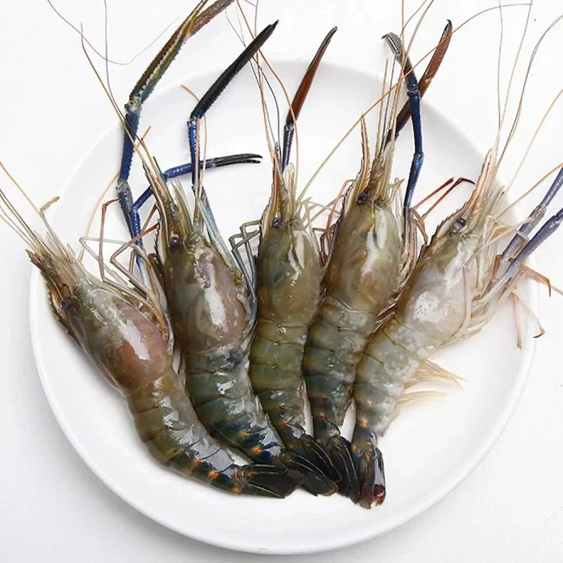 鲜活淡水罗氏沼虾 每斤8-10条左右