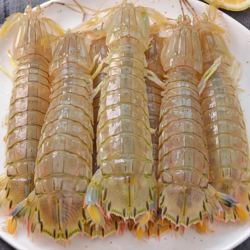 鲜活大皮皮虾
