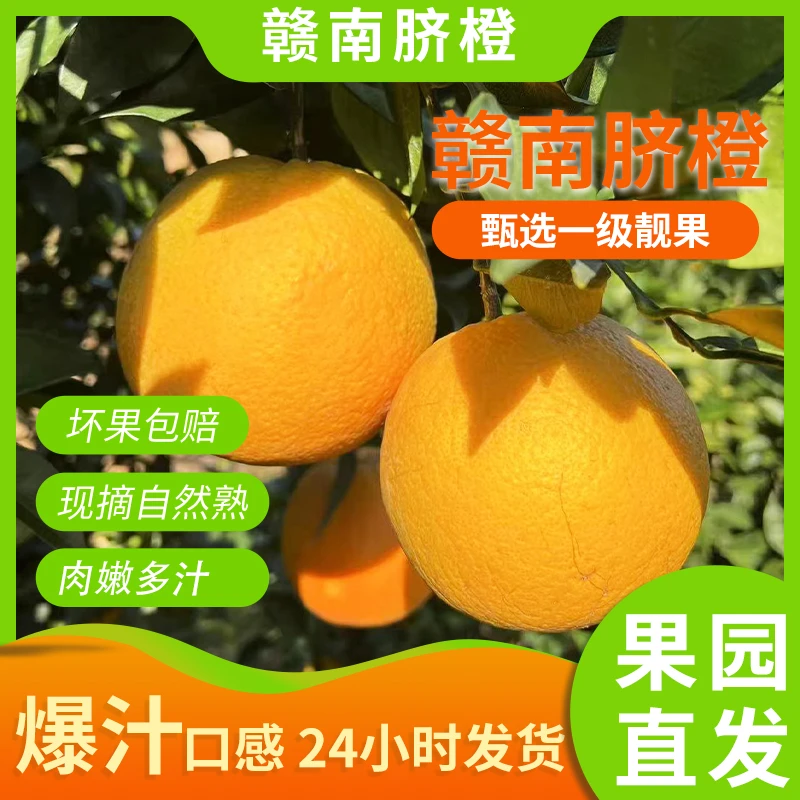 正宗赣南脐橙新鲜水果现摘现发橙子