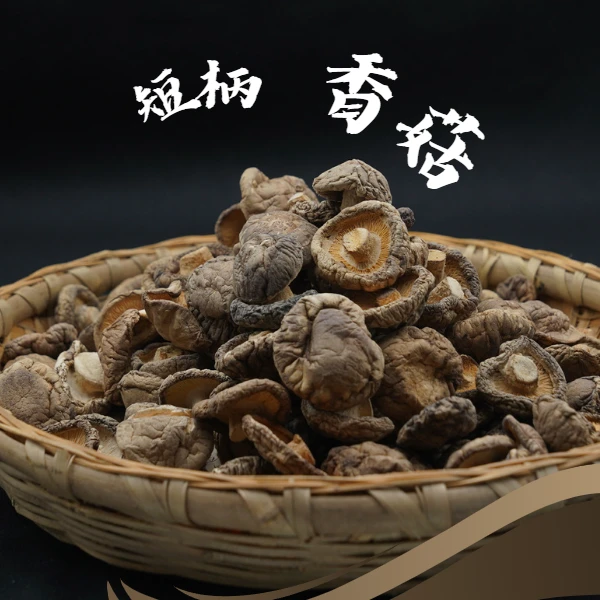 苦妈香菇干香菇香菌花蕈香信椎茸冬菰厚菇花菇炖鸡汤炖汤炒菜干菜