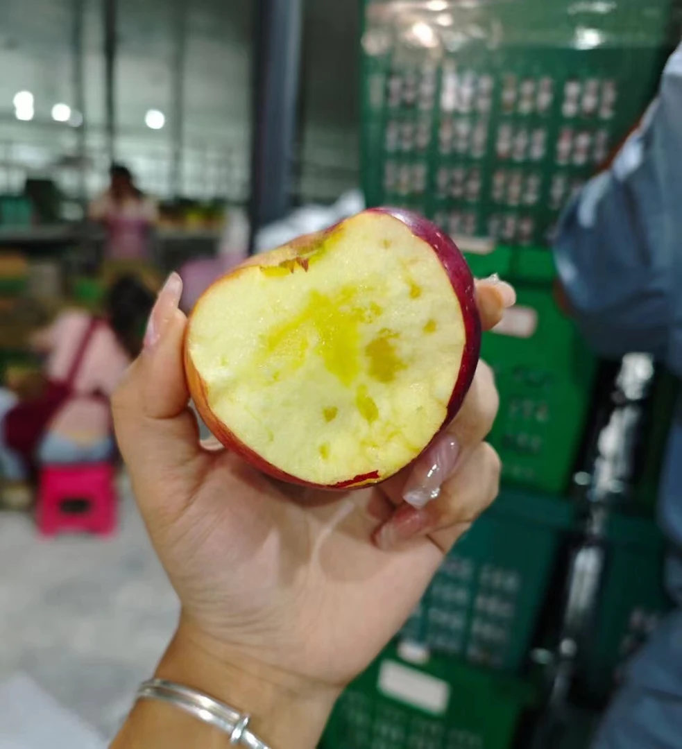 【潘潘优选】樱桃小苹果火箭筒苹果