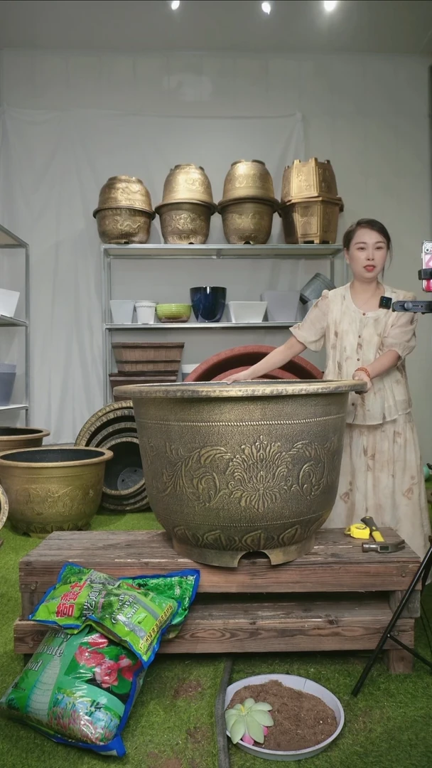 【闪购商品】树脂20CM（含）-50CM（不含）1