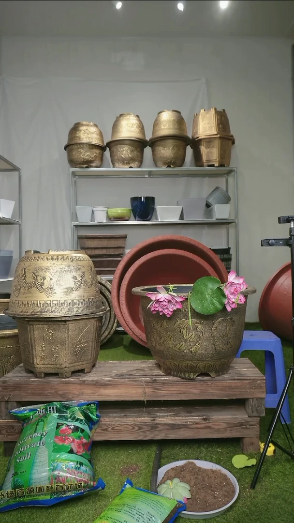 【闪购商品】树脂20CM（含）-50CM（不含）1