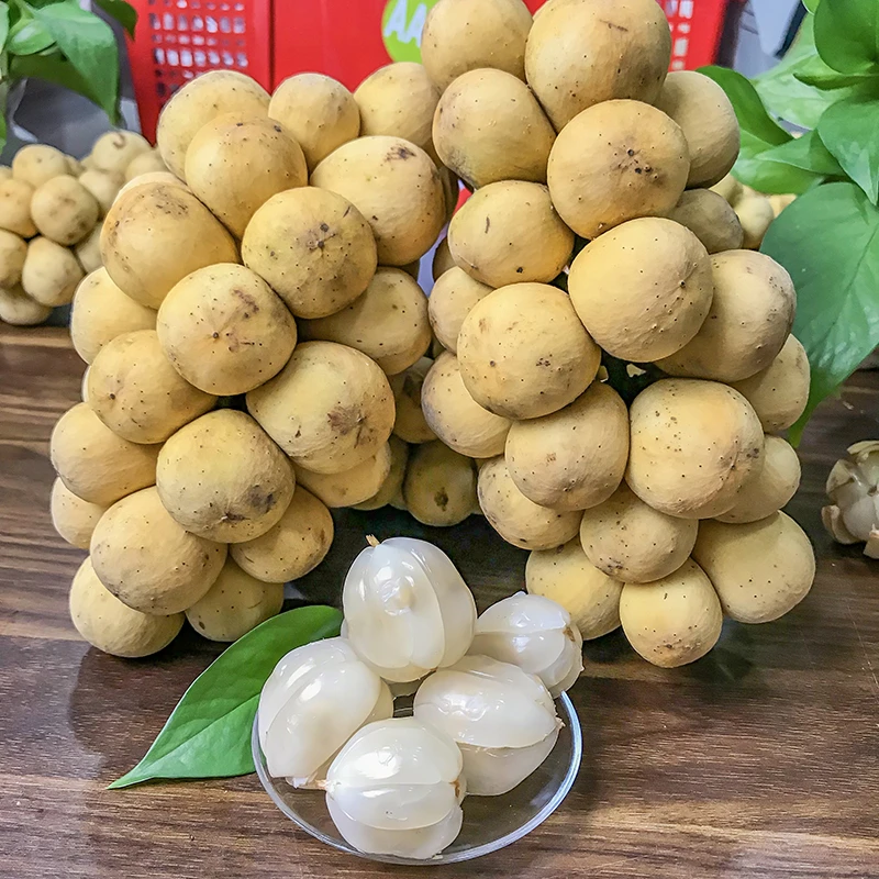 【乐鲜果园】泰国进口龙宫果1斤起当季新鲜进口水果