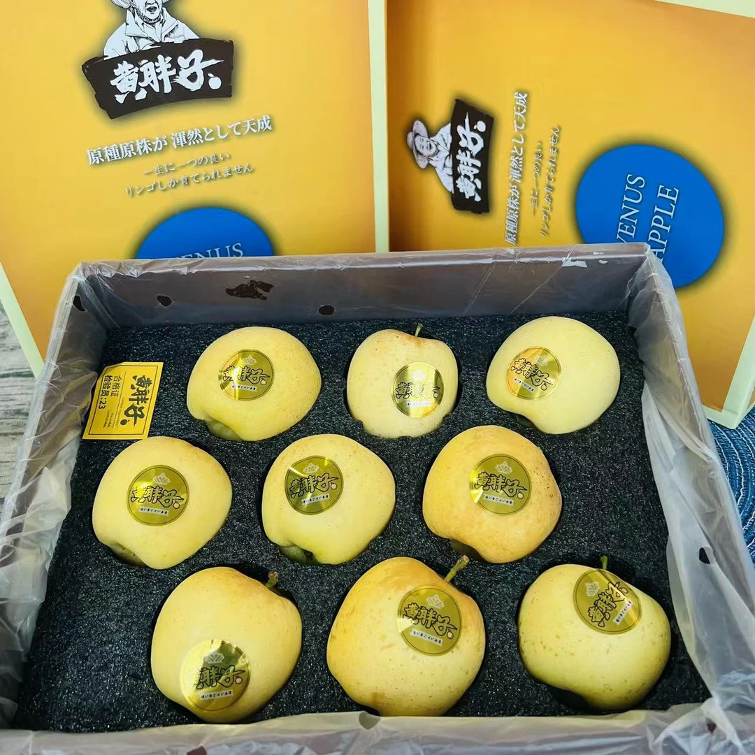【乐鲜果园】黄胖子黄金维纳斯苹果雀斑美人9颗2.8-3斤