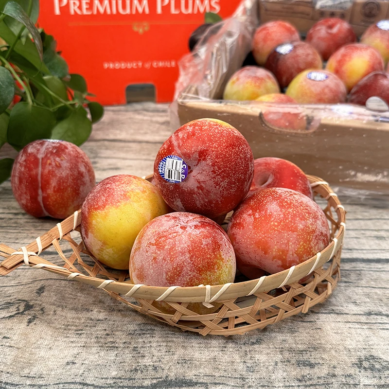 【乐鲜果园】智利太阳李3斤/原箱7斤当季李子新鲜水果