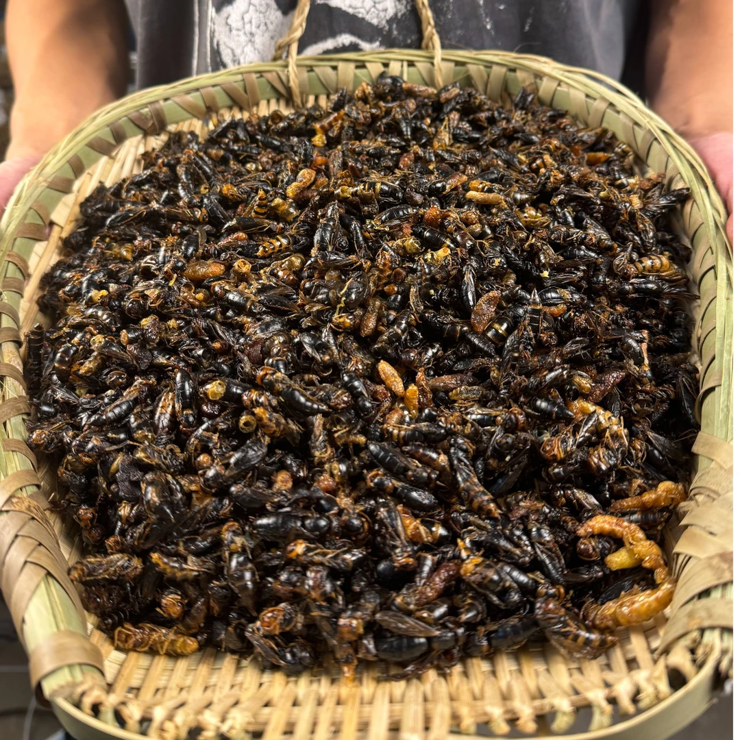 新鲜油炸蜂蛹/小黑4级树蜂/真的很香