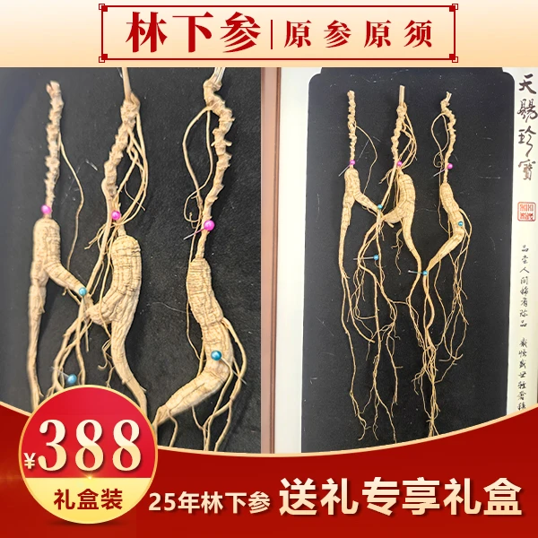 【28年】长白山林下山参20g礼盒东北干货泡酒煲汤滋补品礼盒送长辈