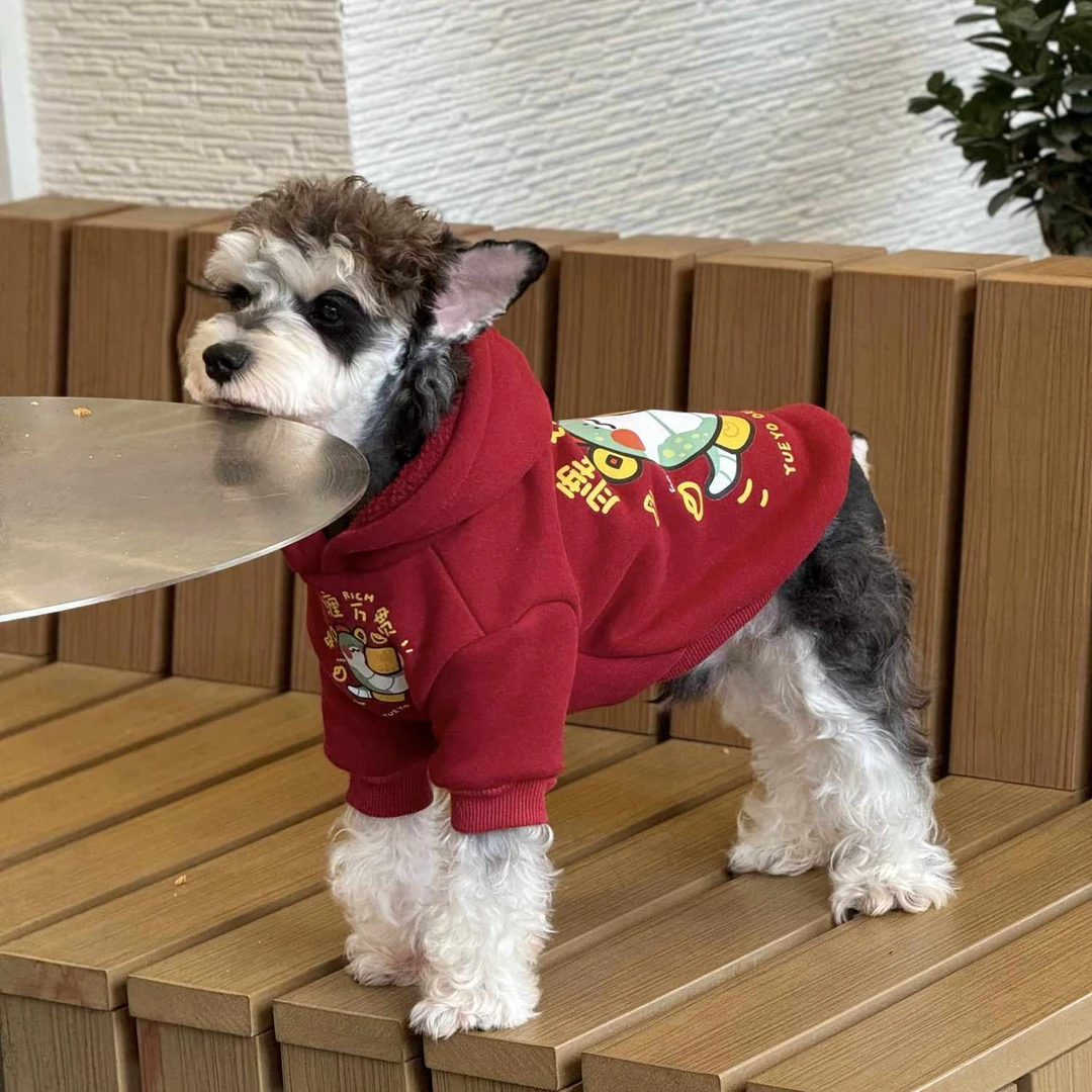 宠物猫狗衣服秋冬新年红色喜庆连帽红色腰缠万贯卫衣雪纳瑞衣服