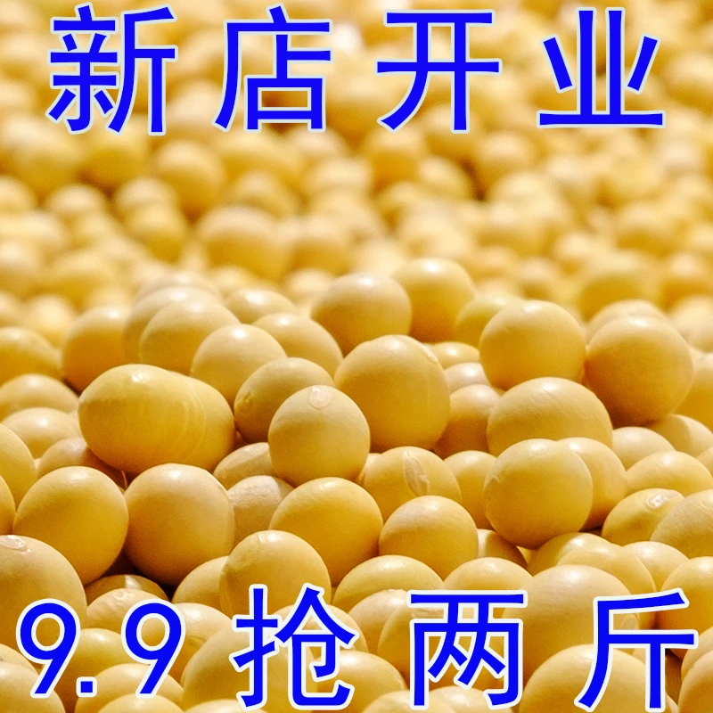 【9.9抢两斤】东北农家特级新黄豆发豆芽打豆浆商用新鲜大豆批发