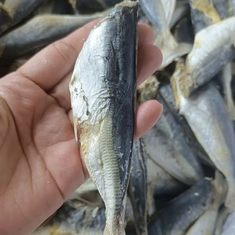 非即食新鲜去头巴浪鱼干烹饪饶平特产海鲜咸鱼干一斤约10条包邮