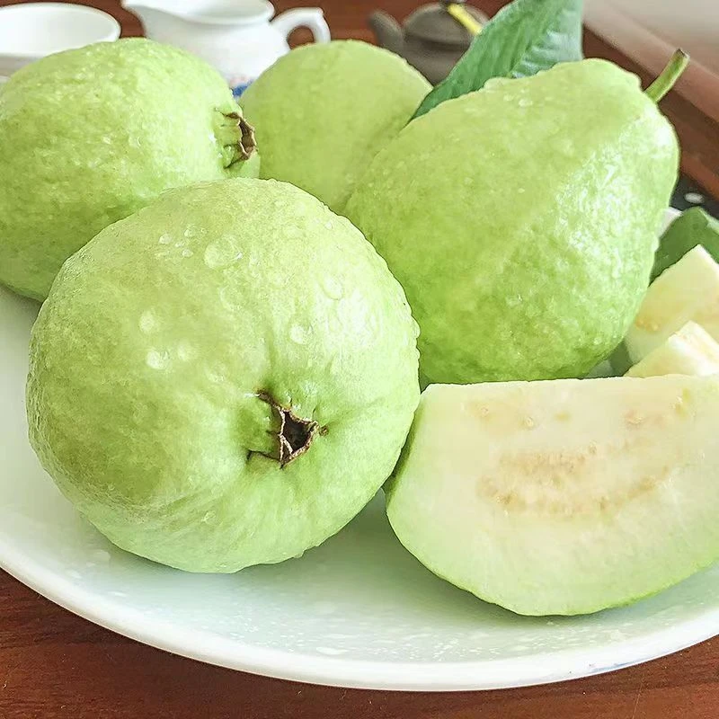 【顺丰包邮】海南白心芭乐番石榴脆甜香脆口当季新鲜水果香产地直发