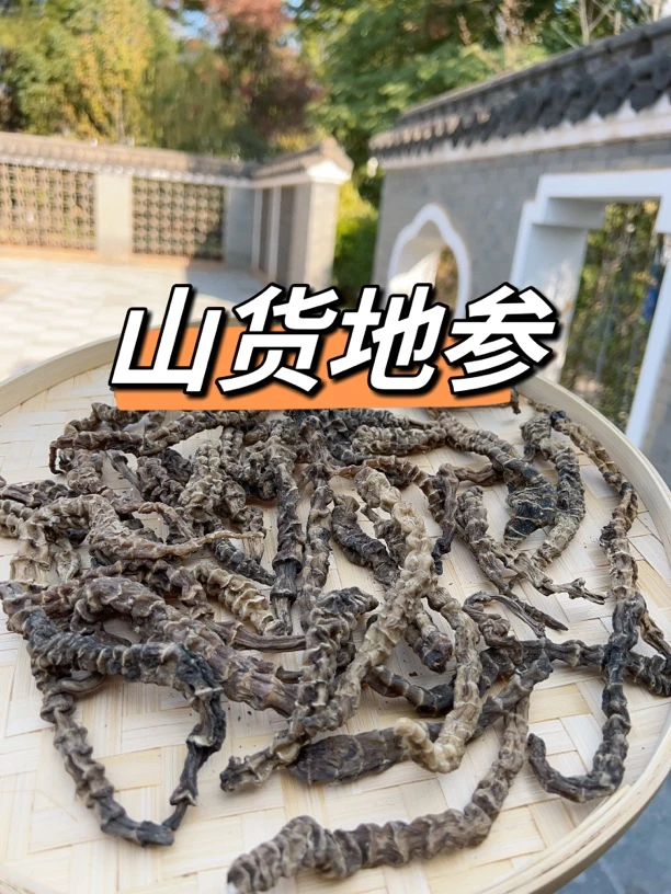 【山货地参】云南山货地参现收发货             非 枣