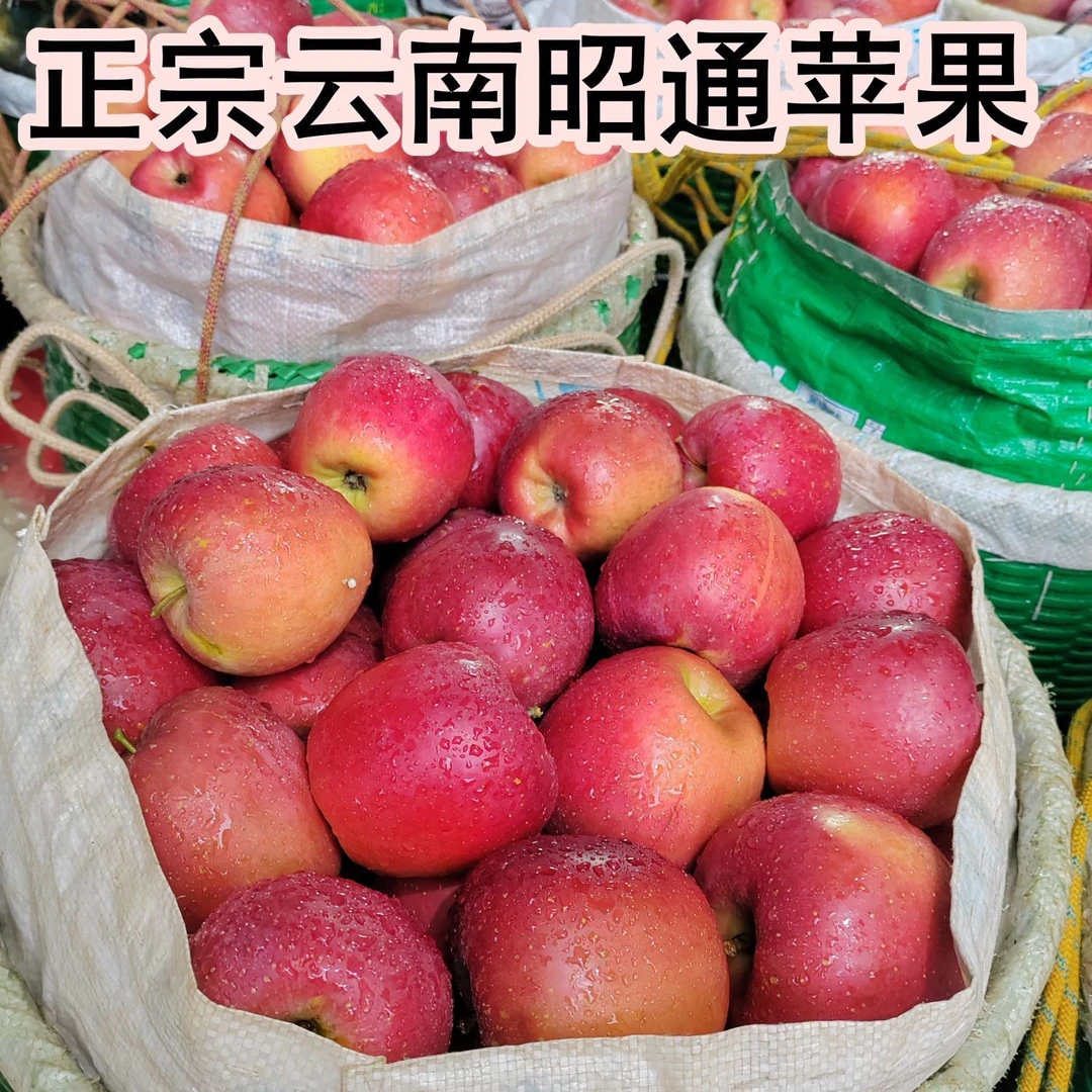 【精品礼盒】云南昭通红玫瑰苹果新鲜水果现摘2024年新苹果5斤9斤