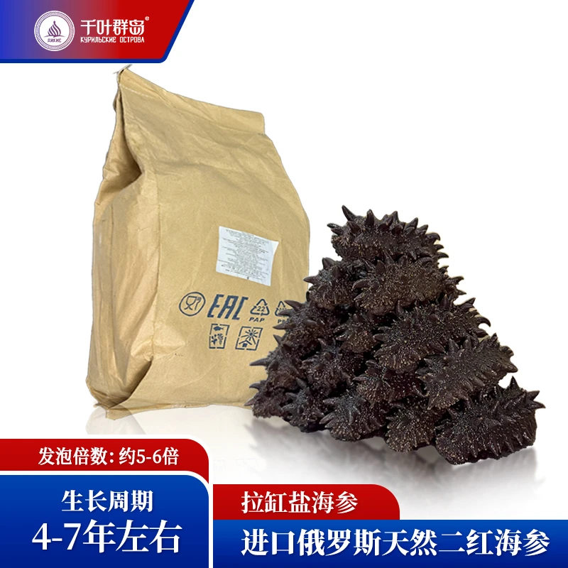 千叶群岛15年【原料必买】俄罗斯顶火拉缸盐盐渍海参6倍泡发