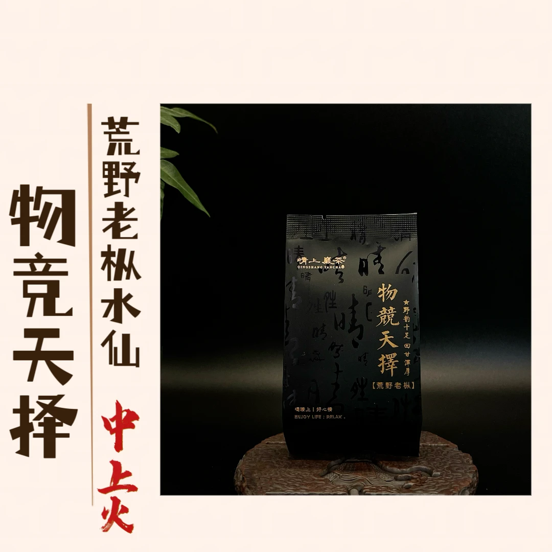 【物竞天择】荒野老枞 8.3g 武夷岩茶