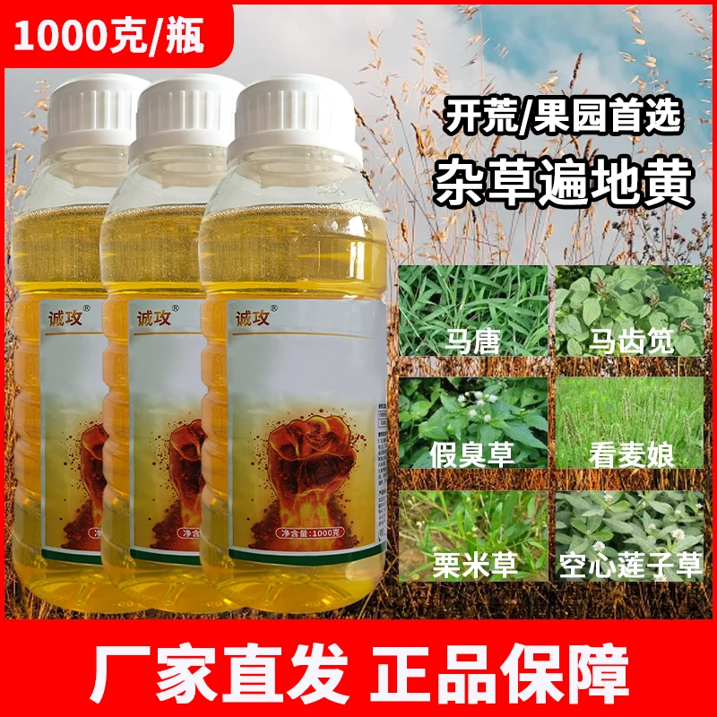 诚攻果园杂草小飞蓬香附子野燕麦马齿苋等多种常见可用叶面肥