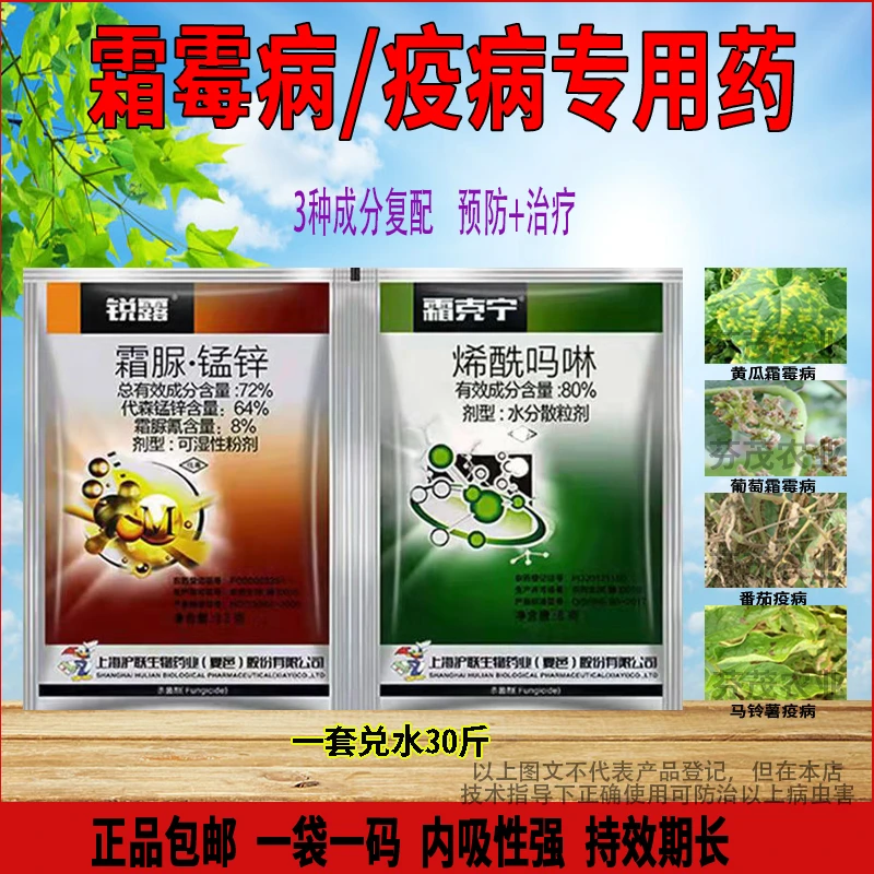 霜脲锰锌烯酰吗啉杀菌剂早晚疫霜霉病专用蔬菜辣椒黄瓜番茄农药
