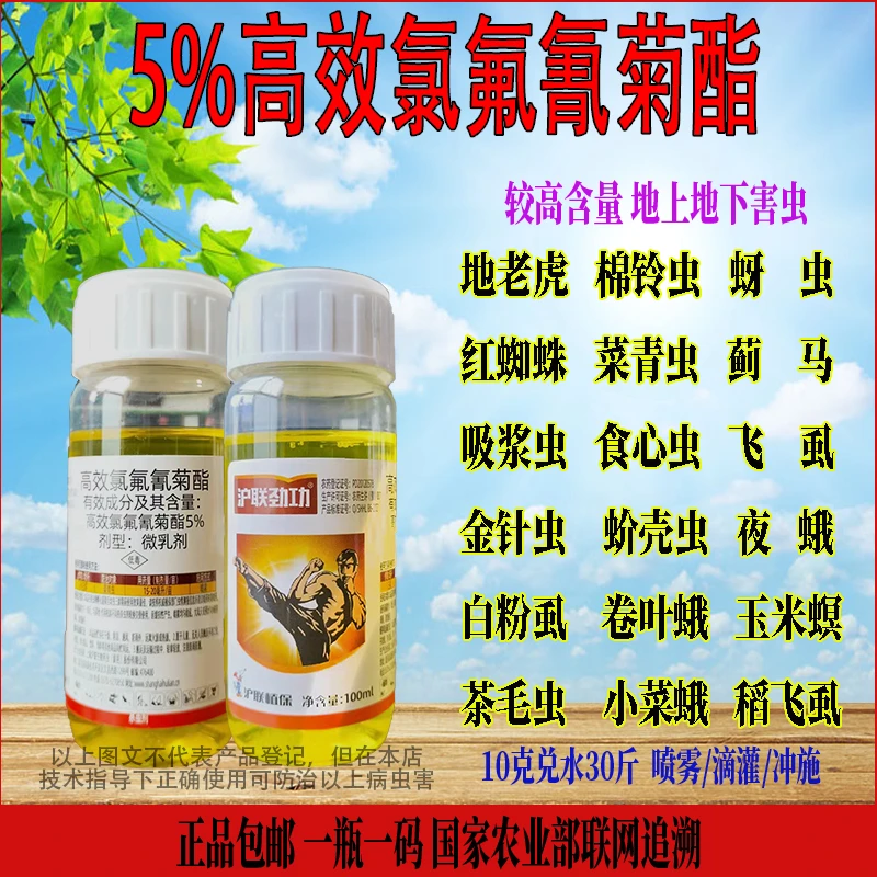 高效氯氟氰菊酯5%小麦杀虫剂蝼蛄地老虎蚂蚁蛴螬潮金针虫高浓度
