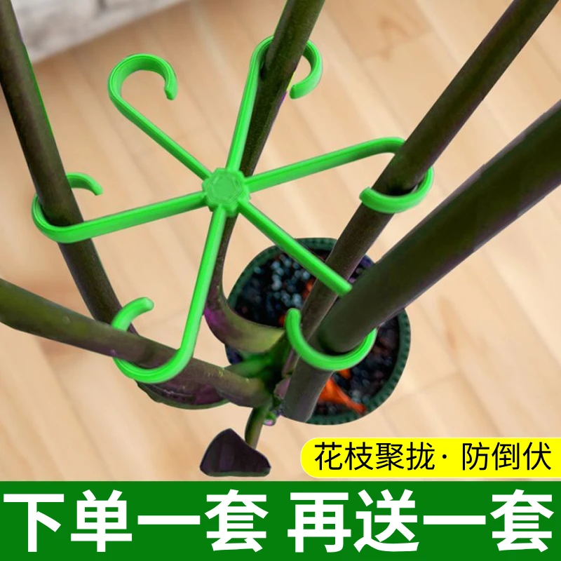 龟背竹固定器支撑防倒伏春雨支架枝干固定花盆架园艺花卉海芋绿植