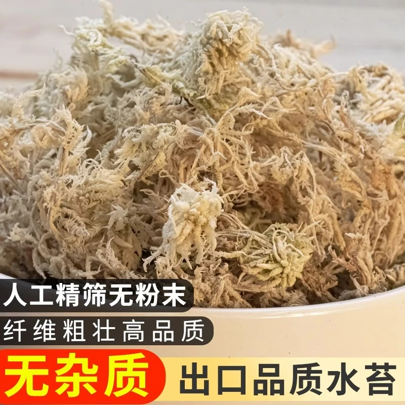 精筛水苔智利干水苔蝴蝶兰花专用营养土苔藓石斛食虫植物土壤