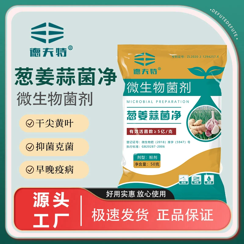 德夫特葱姜蒜菌净大葱小葱大蒜干尖黄叶疫炭疽微生物菌剂