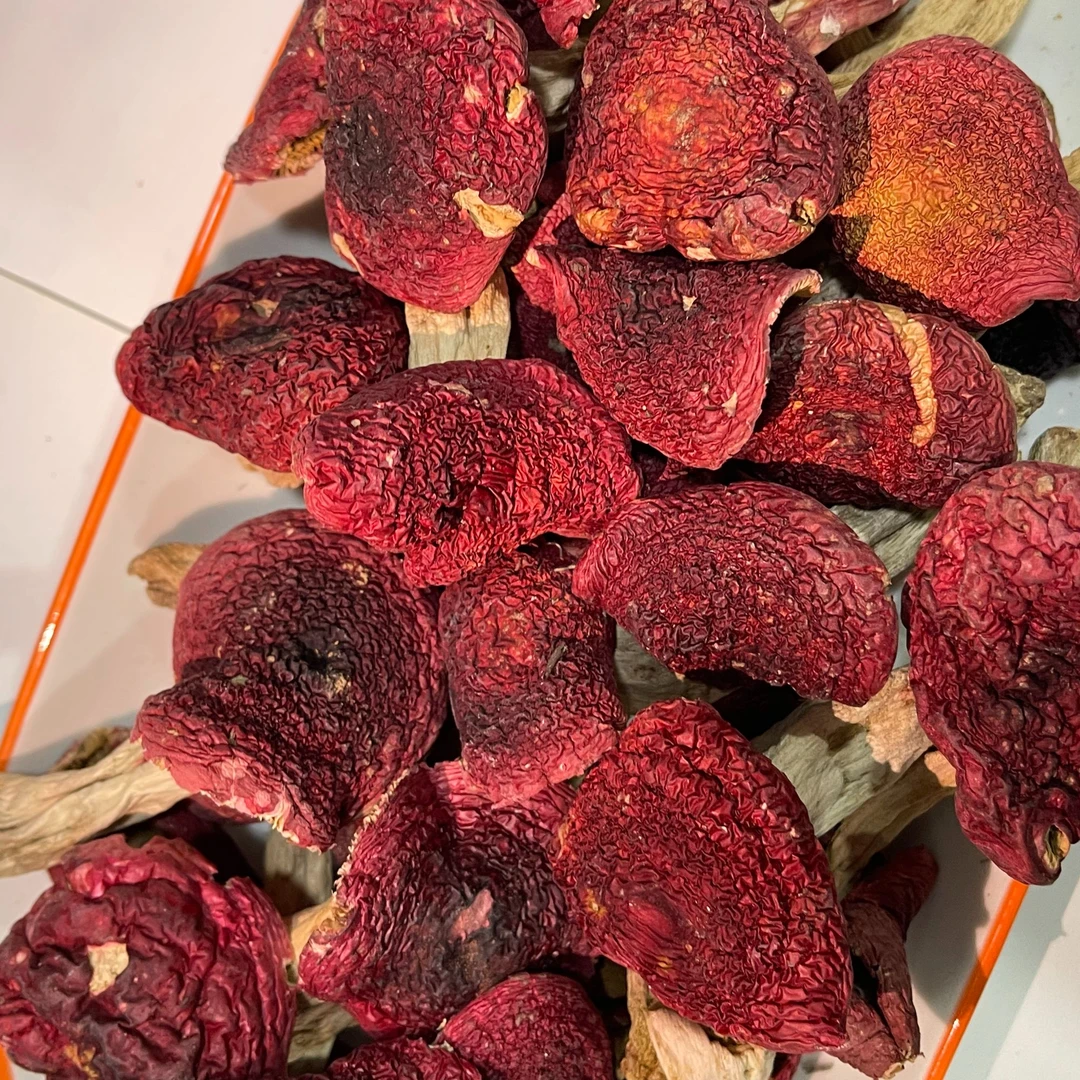 【素贞推荐】云南红菇炖汤鲜美